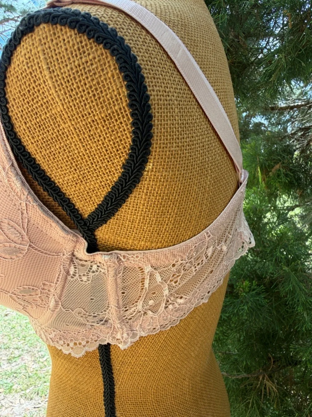 Rene Rofe Blush Lace Soft-Cup Bra with Bow Accent - Picture 3 of 7